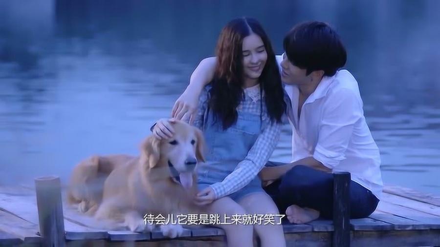 蓝色小球入袋